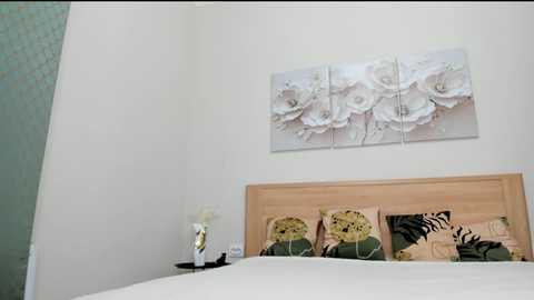 paradi_se @ chaturbate on 20251118