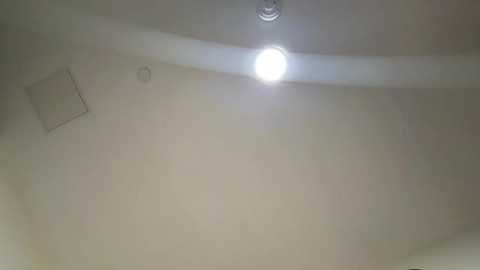 taliavaine @ chaturbate on 20251118