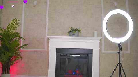 abbela_white @ chaturbate on 20251119