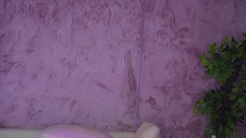 anabel054 @ chaturbate on 20251119