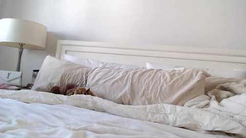 biancaawoods @ chaturbate on 20251119