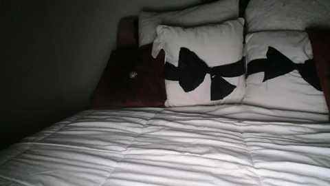 bigdicktrannynicole @ chaturbate on 20251119