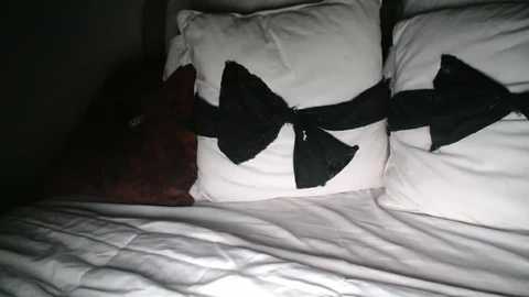 bigdicktrannynicole @ chaturbate on 20251119