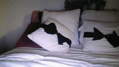 bigdicktrannynicole @ chaturbate on 20251119