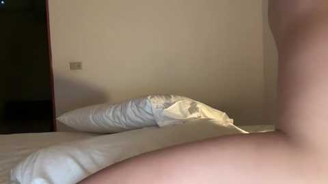 bonnettbonett @ chaturbate on 20251119