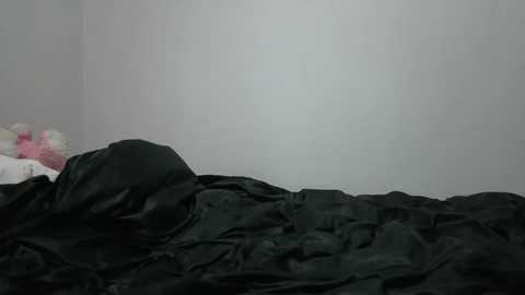 valentinarosexox @ chaturbate on 20251119