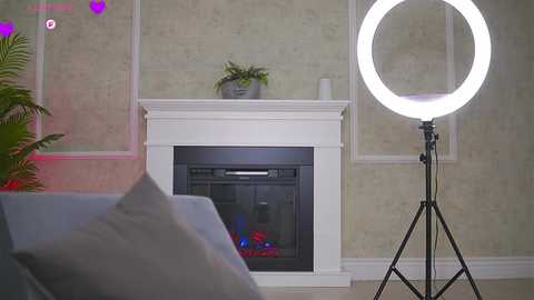 abbela_white @ chaturbate on 20251120