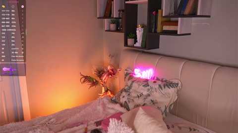 islandladies @ chaturbate on 20251120