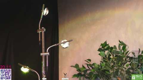 lissa_meooow @ chaturbate on 20251120