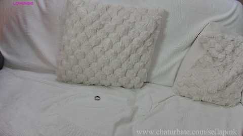 sellapink @ chaturbate on 20251120