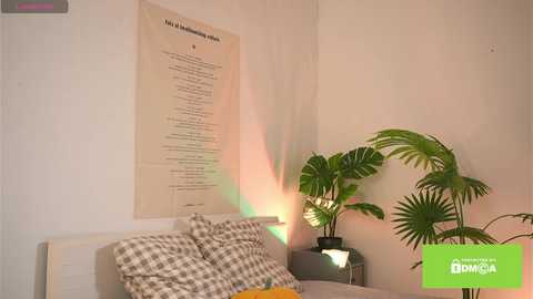 swtty_meivi @ chaturbate on 20251120