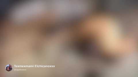 texmexmami @ chaturbate on 20251120