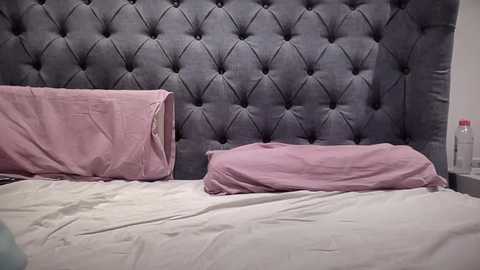 eatmypie69 @ chaturbate on 20251121