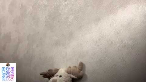 heart_petal @ chaturbate on 20251121