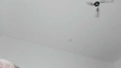 infinite_reality @ chaturbate on 20251121