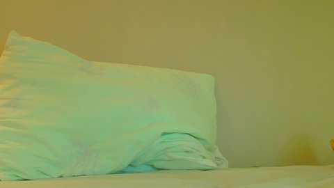 sexy_b0rsch @ chaturbate on 20251121