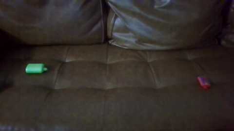 kinkybbwbitch @ chaturbate on 20251122