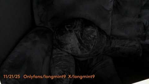 longmint96 @ chaturbate on 20251122