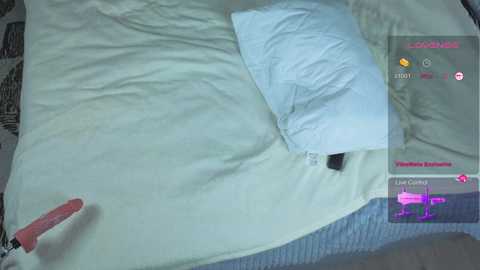 nerdy_freyua @ chaturbate on 20251122