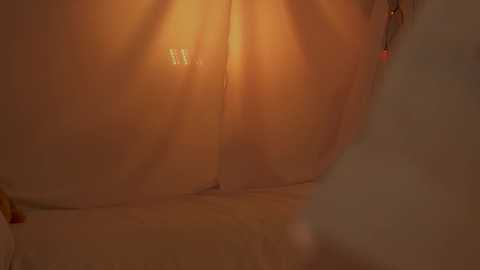 sunny_maria @ chaturbate on 20251122