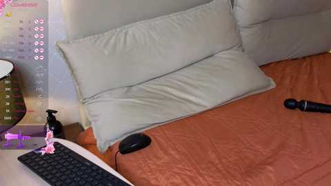 brightrays__ @ chaturbate on 20251123