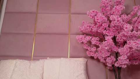 eleineblue @ chaturbate on 20251123