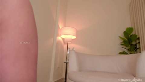 marce_algara @ chaturbate on 20251123