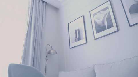 miso_misa @ chaturbate on 20251123