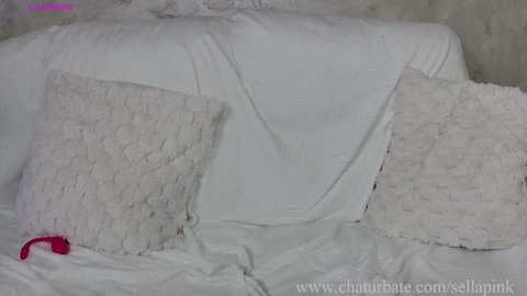 sellapink @ chaturbate on 20251123