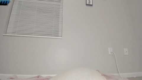 venicebtchh @ chaturbate on 20251123