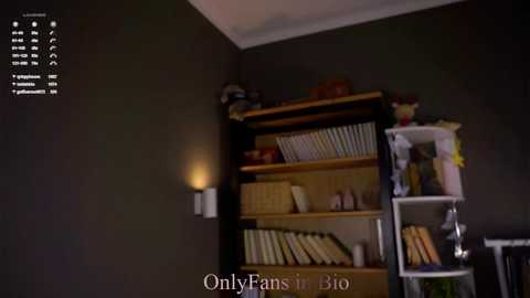 aislyfarran @ chaturbate on 20251124