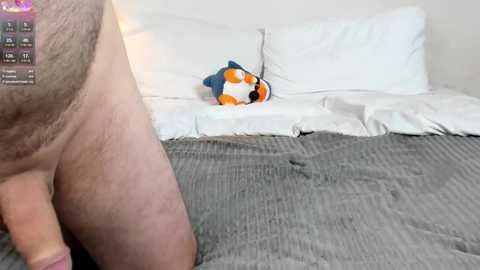 justcheshirecat @ chaturbate on 20251124