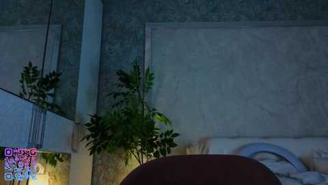 quennacindy @ chaturbate on 20251124