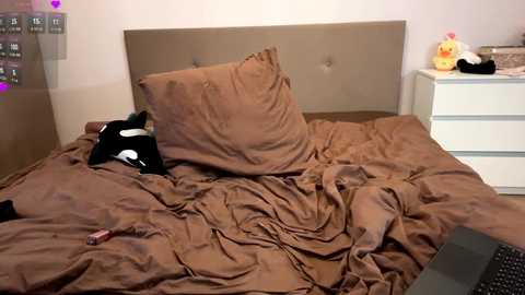 rafaelaloghry @ chaturbate on 20251124