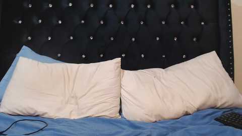 sashal_sweet @ chaturbate on 20251124