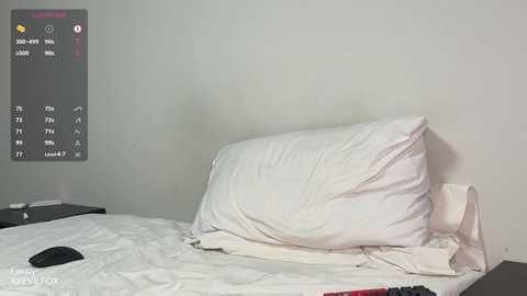 xxevilfox @ chaturbate on 20251124