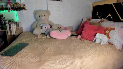 yluismag @ chaturbate on 20251124