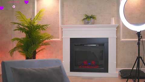 abbela_white @ chaturbate on 20251125