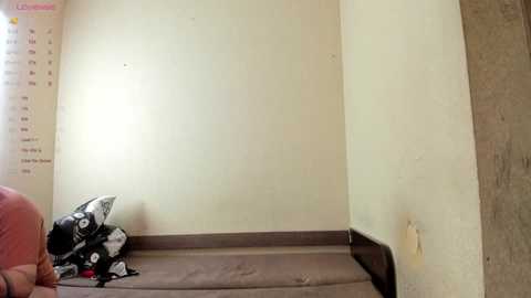 bany_lee @ chaturbate on 20251125