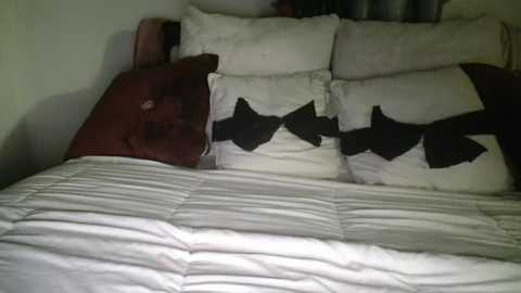 bigdicktrannynicole @ chaturbate on 20251125