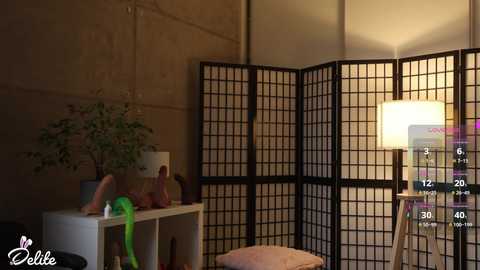 delitevip @ chaturbate on 20251125