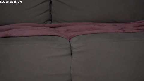 signehinz @ chaturbate on 20251125