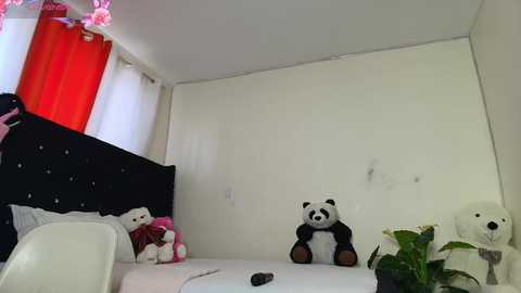 vel_zola @ chaturbate on 20251125