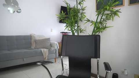 canelasungirl @ chaturbate on 20251126