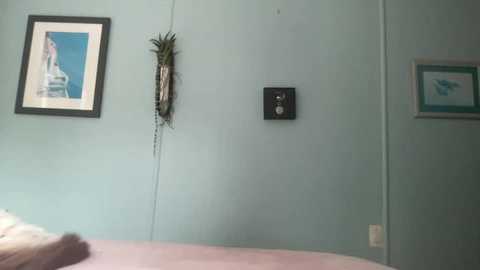 isabellesings @ chaturbate on 20251126