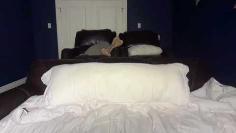 kenziesmithh @ chaturbate on 20251126