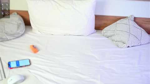 petalpage @ chaturbate on 20251126