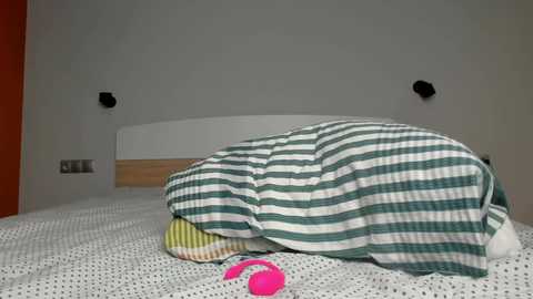 raveneusbiter @ chaturbate on 20251126