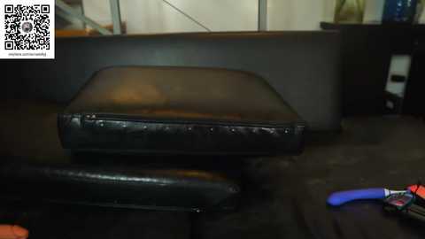 the_pussy_boulevard @ chaturbate on 20251126