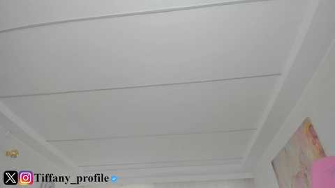 tiffanyhouston_ @ chaturbate on 20251126